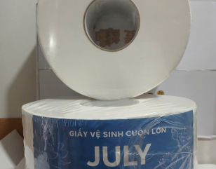 Mẫu Giấy Vệ Sinh Cuộn Lớn JULY