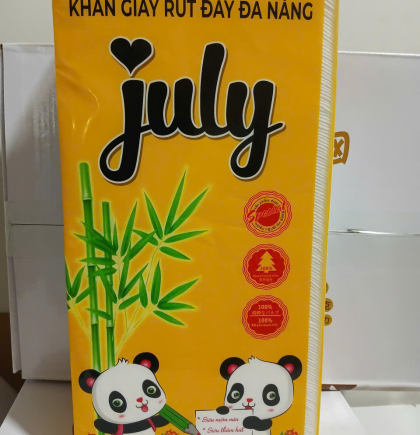 CÁC MẪU GIẤY TREO TƯỜNG
